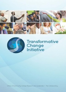 2014 Transformative Change Initiative booklet